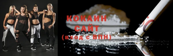 гашик Белоозёрский