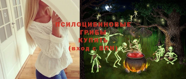 гашик Белоозёрский