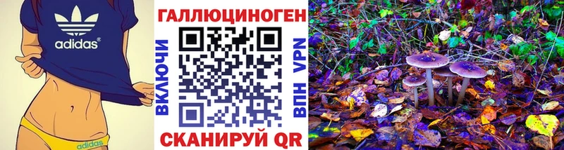Галлюциногенные грибы GOLDEN TEACHER  мориарти как зайти  Шлиссельбург 